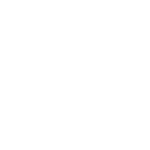 Active or High-Risk Lifestyles